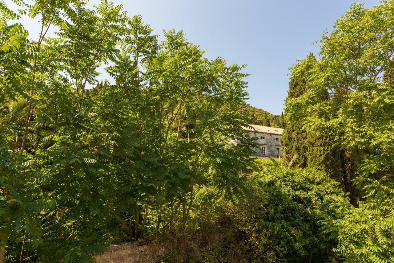 Niki Apartment Dubrovnik Eksteriør billede